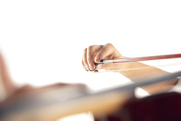 Image showing Close up woman playing violin isolated on white studio background