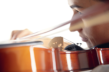 Image showing Close up woman playing violin isolated on white studio background