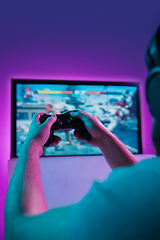 Image showing Back view shot of professional gamer playing online video game on his personal computer.