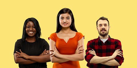 Image showing Group portrait of emotional people on yellow studio background