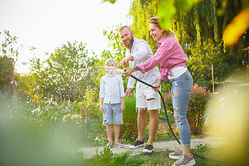 Image showing Happy family during watering plants in a garden outdoors. Love, family, lifestyle, harvest concept.