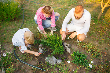 Image showing Happy family during plant care in a garden outdoors. Love, family, lifestyle, harvest concept.