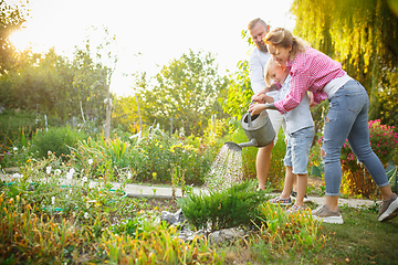 Image showing Happy family during watering plants in a garden outdoors. Love, family, lifestyle, harvest concept.