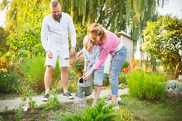 Image showing Happy family during watering plants in a garden outdoors. Love, family, lifestyle, harvest concept.