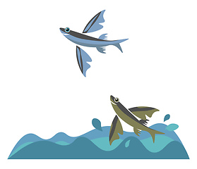 Image showing Flying fish, vector or color illustration.