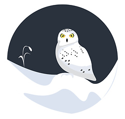 Image showing Snow owl, vector or color illustration.