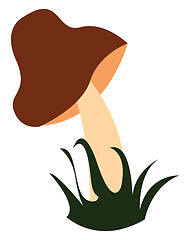 Image showing Mushroom, vector or color illustration.