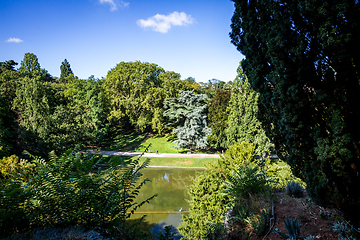 Image showing Pond in Buttes-Chaumont Park, Paris