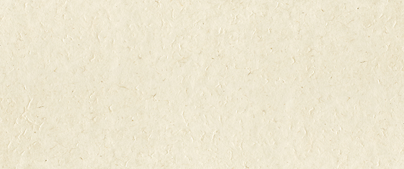 Image showing Old parchment paper. Banner texture