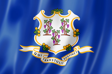 Image showing Connecticut flag, USA