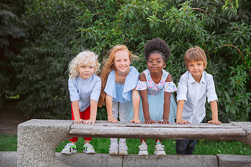 Image showing Interracial group of kids, girls and boys playing together at the park in summer day