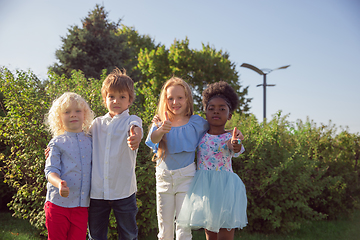 Image showing Interracial group of kids, girls and boys playing together at the park in summer day