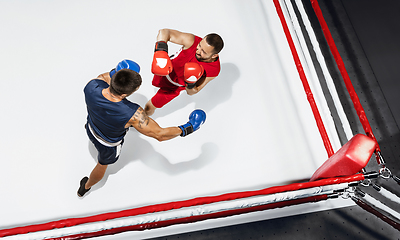 Image showing Two professional boxers boxing on white background on the ring, action, top view