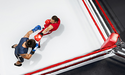 Image showing Two professional boxers boxing on white background on the ring, action, top view