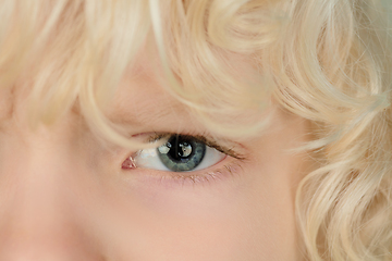 Image showing Portrait of beautiful caucasian little boy isolated on blue studio background