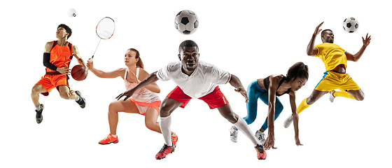 Image showing Collage of different sportsmen, fit men and women in action and motion isolated on white background