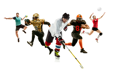 Image showing Collage of different sportsmen, fit men and women in action and motion isolated on white background