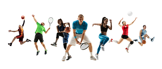 Image showing Collage of different sportsmen, fit men and women in action and motion isolated on white background