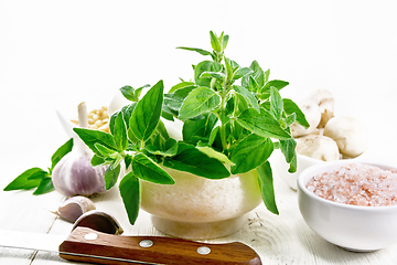 Image showing Oregano fresh in mortar on light board