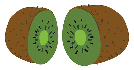 Image showing Image of cut kiwi - kiwi fruit, vector or color illustration.