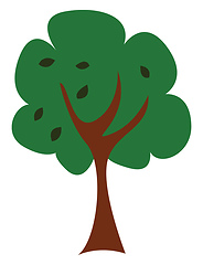 Image showing A tree/Woody perennial plant, vector or color illustration. 