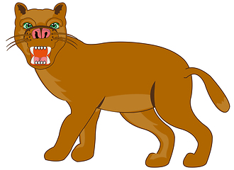 Image showing Animal puma on white background is insulated