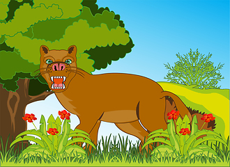 Image showing Animal puma on background of the wild nature