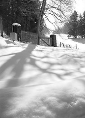 Image showing Winter Landscape