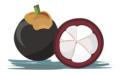 Image showing Purple mangos, vector or color illustration.