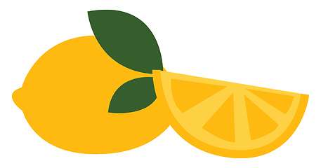 Image showing lemon with green leaves, vector or color illustration.