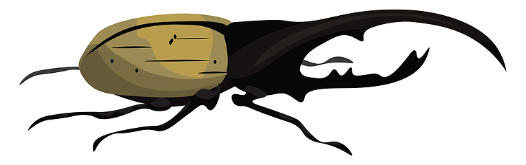 Image showing Hercules beetle, vector or color illustration.