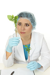 Image showing Botanical scientist