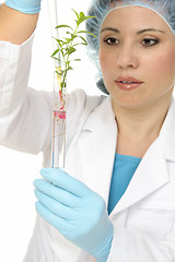 Image showing Plant Science or agronomy