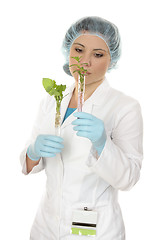 Image showing Scientist with test tubes