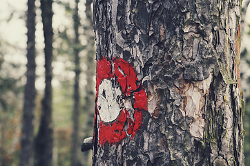 Image showing Sign on the tree