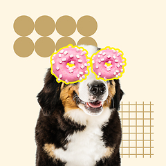 Image showing Modern design, contemporary art collage with cute doggies