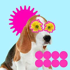 Image showing Modern design, contemporary art collage with cute doggies