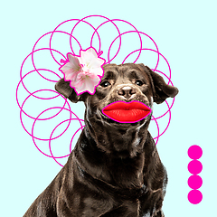 Image showing Modern design, contemporary art collage with cute doggies