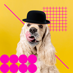 Image showing Modern design, contemporary art collage with cute doggies