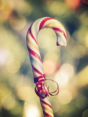 Image showing Candy Cane