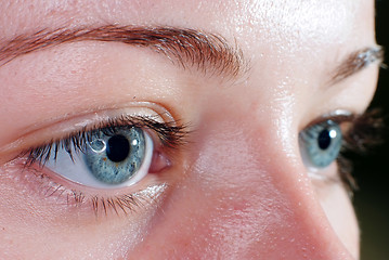 Image showing Blue eyes closeup
