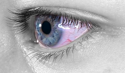 Image showing Blue eye macro