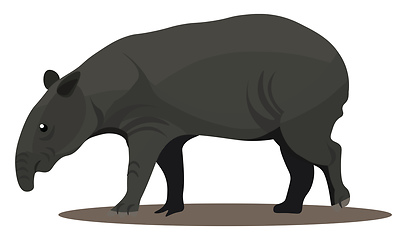 Image showing Tapir, vector or color illustration.