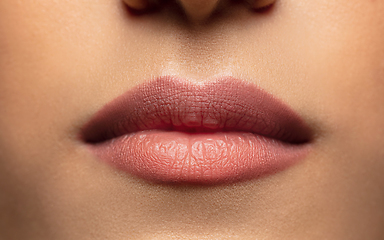 Image showing Close-up shoot of beautiful female lips with natural lipstick make up