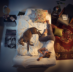 Image showing Portrait of a woman, female breeder sleeping in the bed with her dog at home