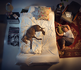 Image showing Portrait of a woman, female breeder sleeping in the bed with her dog at home