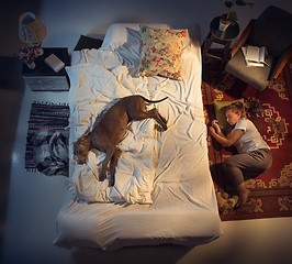 Image showing Portrait of a woman, female breeder sleeping in the bed with her dog at home