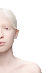 Image showing Portrait of beautiful albino woman isolated on white studio background. Beauty, fashion, skincare, cosmetics concept.