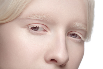 Image showing Portrait of beautiful albino woman isolated on white studio background. Beauty, fashion, skincare, cosmetics concept.