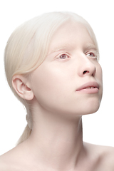 Image showing Portrait of beautiful albino woman isolated on white studio background. Beauty, fashion, skincare, cosmetics concept.